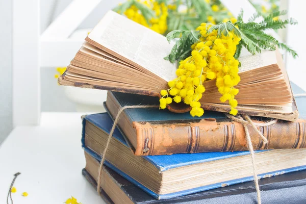 Stapel alter Bücher — Stockfoto