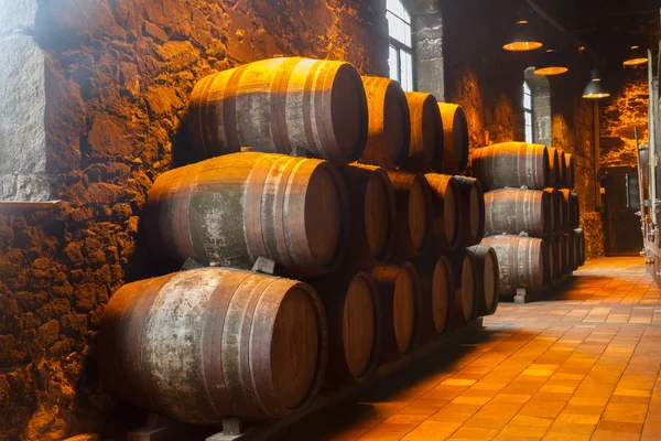 Cellar with wine barrels — Stock Photo, Image