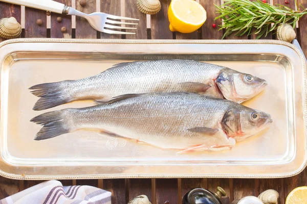 Seabass — Stock Photo, Image