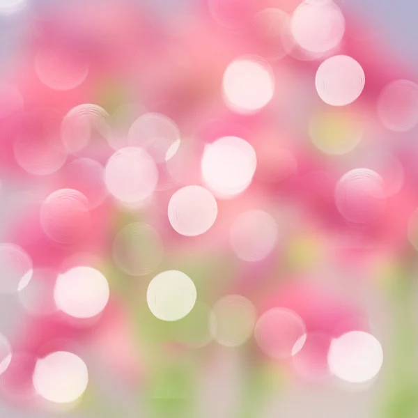 Pink  and violet  Festive background — Stock Photo, Image