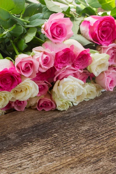 Rosa und weiße Rosen — Stockfoto