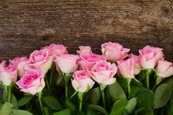 Аромат свежих роз — стоковое фото
