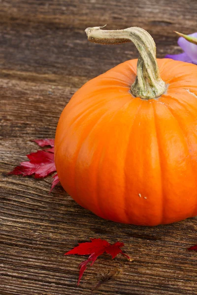 Pumpkin on table — Stock Photo, Image