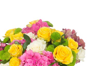 pembe HORTENSIA çiçek