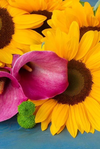 Un girasole di bulbo — Foto Stock