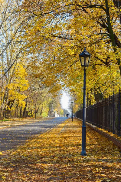 Herfstpark — Stockfoto