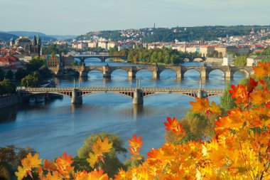 Prag köprü vltava Nehri üzerinde