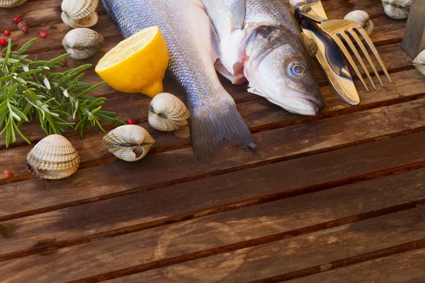 Seabass — Stock Photo, Image