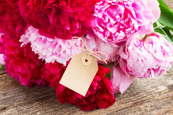 Peonías rosadas y rojas — Foto de Stock