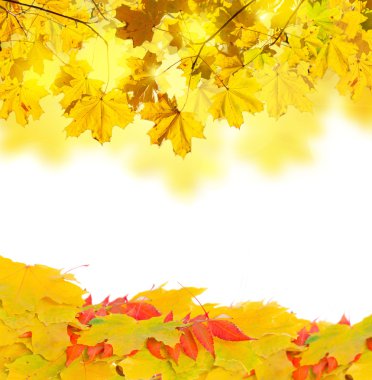 sonbahar yaprakları çerçeve