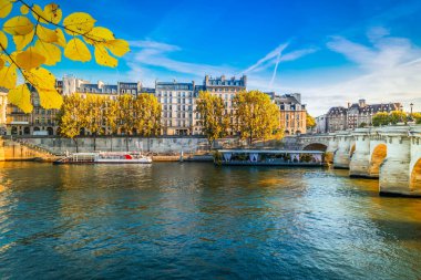 bridge Pont Neuf and Seine river with old houses of Cite island, Paris, France at fall day