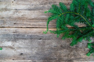 Kırsal Noel yaşam tarzı - eski ahşap arka planda sonsuz yeşil dal