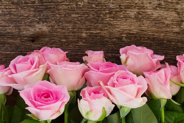 Аромат свежих роз — стоковое фото
