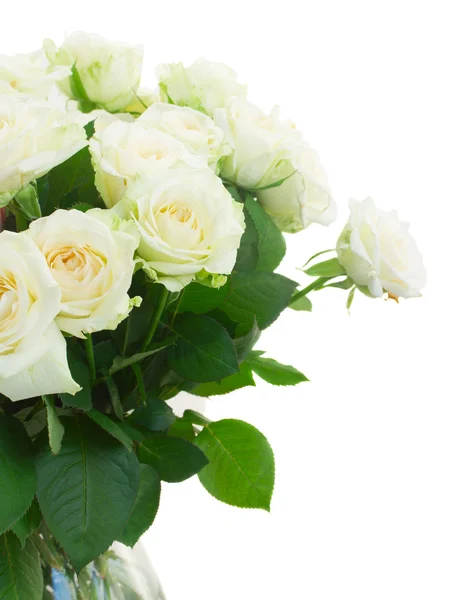 Strauß frischer Rosen — Stockfoto