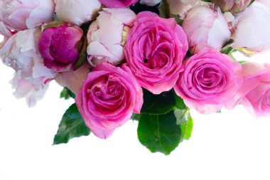 Beyaz arka planda taze şakayıklar ve gül çiçekleri