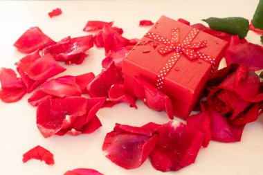 Tarafsız bej arka planda duran hediye kutulu koyu kırmızı gül yaprakları