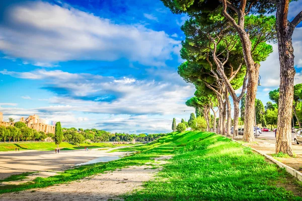 çam ağaçları ve Circus Maximus ile sokak - Roma, İtalya güneşli yaz gününde Roma ünlü kalıntıları