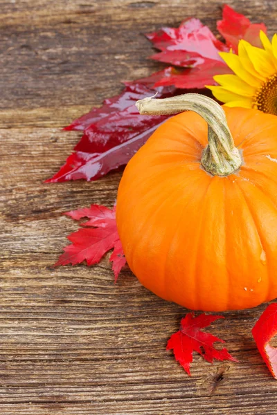 Calabaza en la mesa —  Fotos de Stock