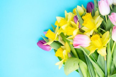 Laleler ve nergisler mavi otlağın üzerinde çiçekler