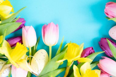 laleler ve nergis çiçekleri yumurtaların çerçevesi fotokopi alanı ile tüm su mavisi arka planda