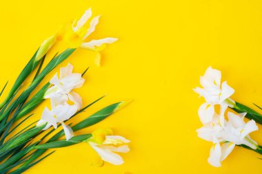 Çiçekler parlak sarı bahar arka planında, 8 Mart bayram arka planında