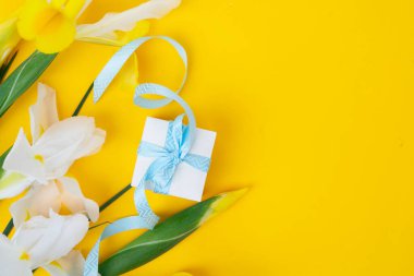 Parlak sarı bahar arka planında çiçekler, hediye kutusuyla Paskalya bayramı arkaplanı.