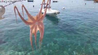 Santorini Yunanistan 'da yerel bir kafede asılı duran kurutulmuş ahtapot.