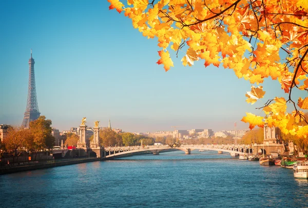 Alexandre iii most i eiffel wieża, Paryż — Zdjęcie stockowe