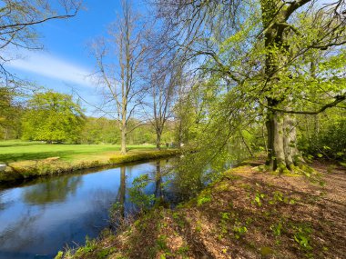 Yansıtıcı suyla güneşli huş ağacı nehir kenarında, çimenli kıyılarda benekli gölgeler, mavi gökyüzü, çayırlarda gezinen nazik dere, kenarlarda yürüyen patika,