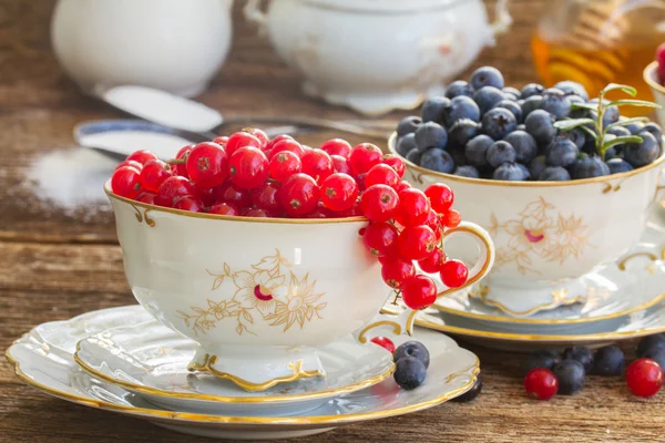 Grosella roja y arándano en tazas — Foto de Stock