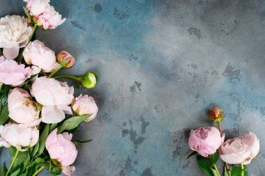 Taze şakayık çiçekleri, yakın görünüm, fotokopi alanı olan yaz arkaplanı