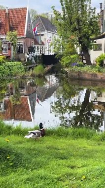 Hollanda kırsalında geleneksel Edam kasabasında kanallar, Hollanda