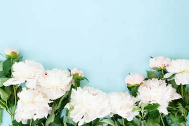 Taze beyaz şakayık çiçekleri yaprakları ile mavi arka plan üzerinde kenarlık