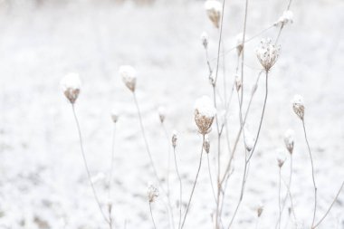 Kış beyaz saat - taze kar ile donuk peyzaj