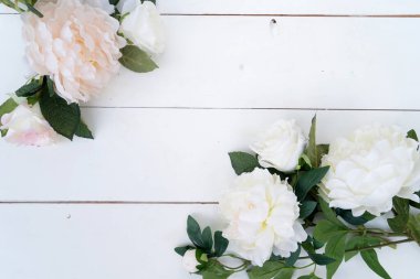 Beyaz çiçekler beyaz ahşap arka planda, narin kamelya gülleri parlak yeşil yapraklarla sade gelinlik tasarımı için düzenlenmiş, yumuşak doğal ışık, yatay