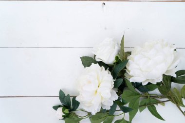Beyaz çiçekler beyaz ahşap arka planda, narin kamelya gülleri parlak yeşil yapraklarla sade gelinlik tasarımı için düzenlenmiş, yumuşak doğal ışık, yatay