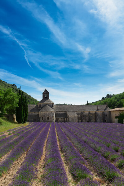 Аббатство Senanque и лаванды поле, Франция