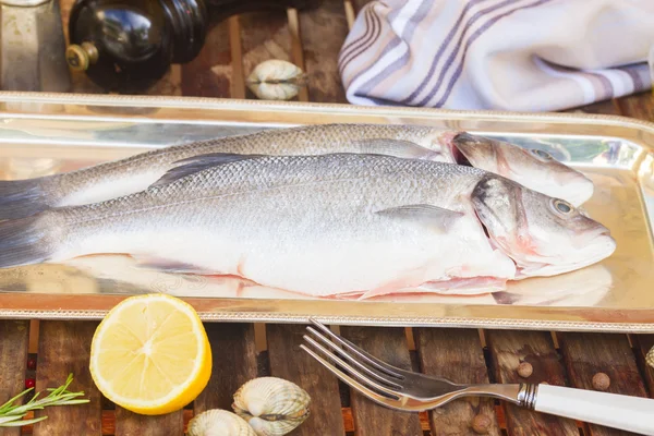 Seabass — Stock Photo, Image