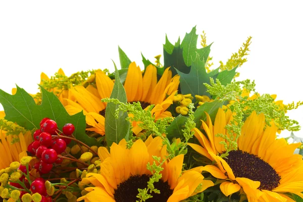 Sunflowers with green leaves — Stock Photo, Image