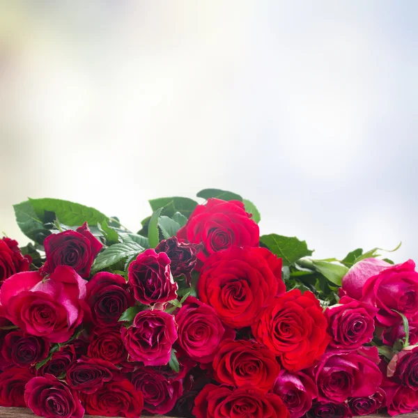 Bordure de roses rouges — Photo