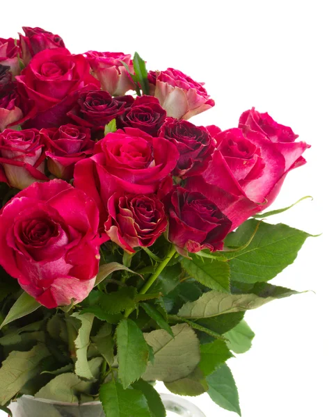 Border of red and pink roses — Stock Photo, Image