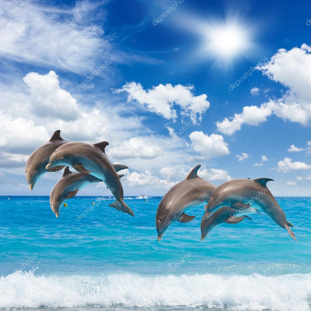Three jumping dolphins — Stock Photo © Neirfys 86147030