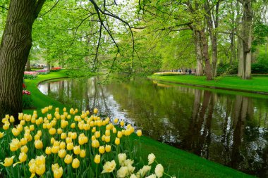 Lale bahçesinde berrak suyla dolu renkli bir kaynak, bereketli bir ortamda canlı çiçekler sergiliyor, ziyaretçileri keşfetmeye davet ediyor.
