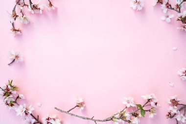 bahar kirazı ve badem ağacı pembe arkaplan üzerinde çiçek açıyor, çerçeve fotokopi alanı ile