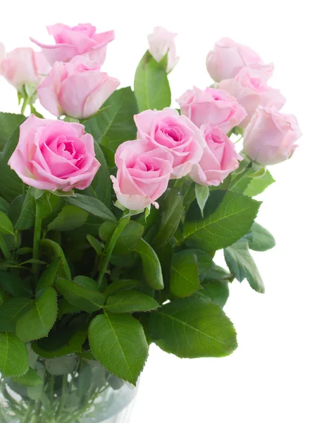 Bouquet of fresh roses — Stock Photo, Image