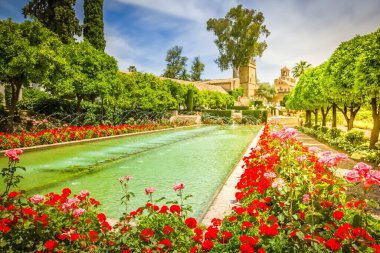 bahçeler de alcazar de los reyes cristianos Cordoba, İspanya