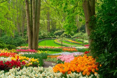 Lale bahçesinde renkli bir patika, gür bir ortamda canlı çiçekler sergiliyor, ziyaretçileri keşfetmeye davet ediyor.
