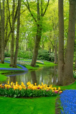 Lale bahçesinde berrak suyla dolu renkli bir kaynak, bereketli bir ortamda canlı çiçekler sergiliyor, ziyaretçileri keşfetmeye davet ediyor.