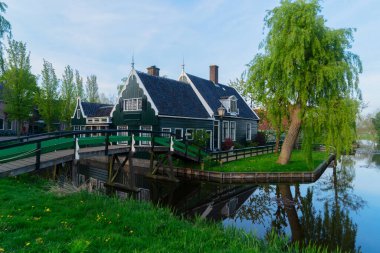 Hollanda 'nın Zaanse Schans kasabasının kırsal kesimindeki manzarası