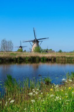 Hollanda 'nın Kinderdijk kentindeki kırsal yel değirmenlerinin ufuk çizgisi